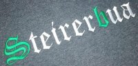 Moderne Stolzer Steirer Weste
